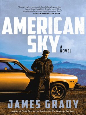 cover image of American Sky